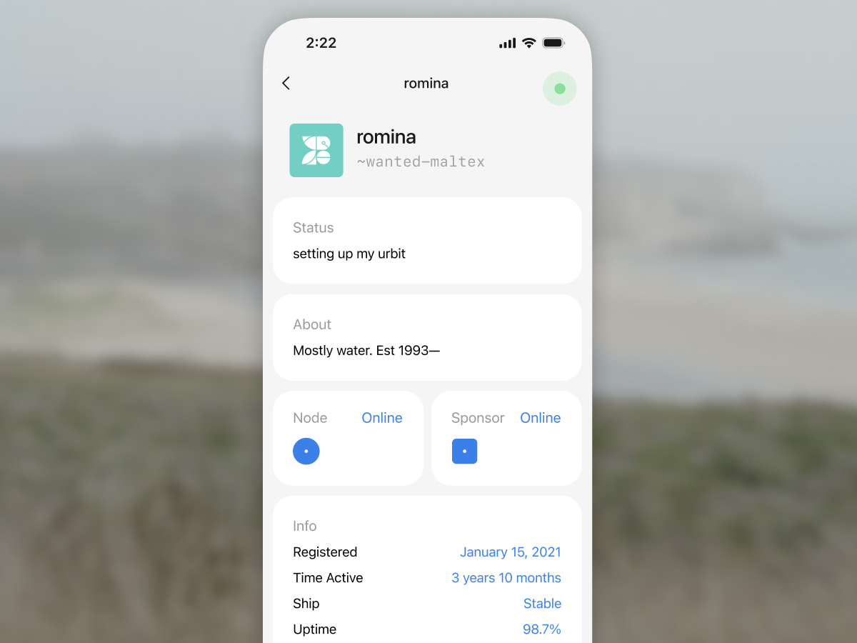A Tlon Messenger profile
